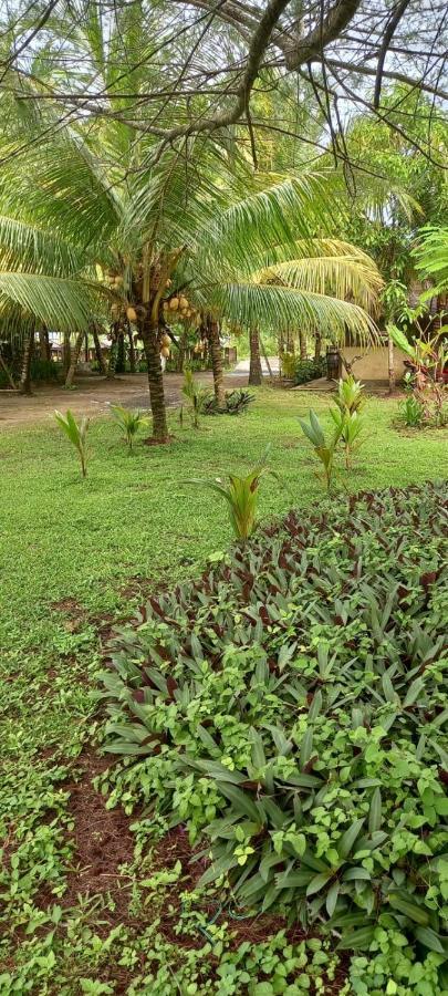 Selong Belanak Bungalows Selong Blanak Exterior foto